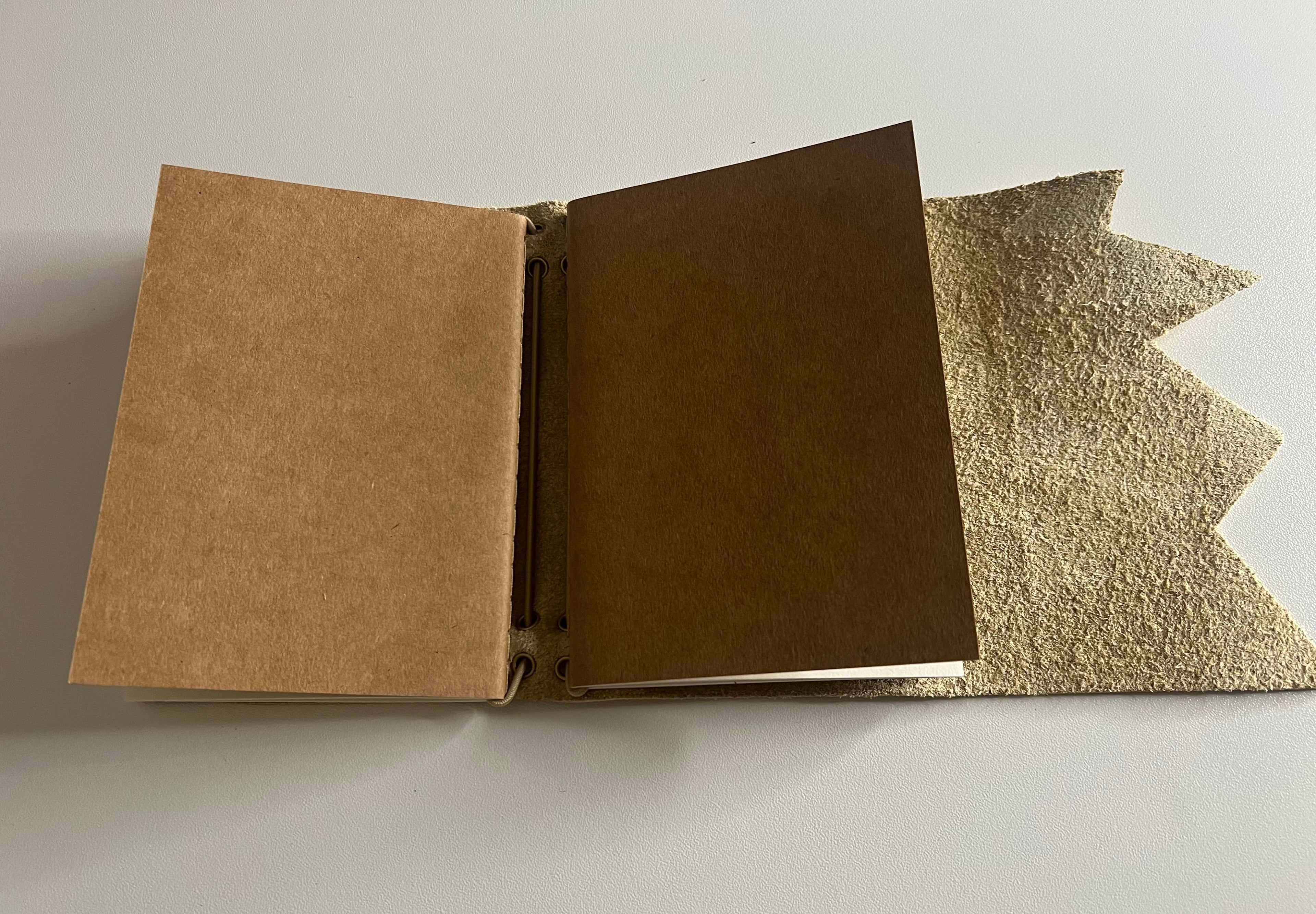 Golden Butterfly Passport Mini Journal