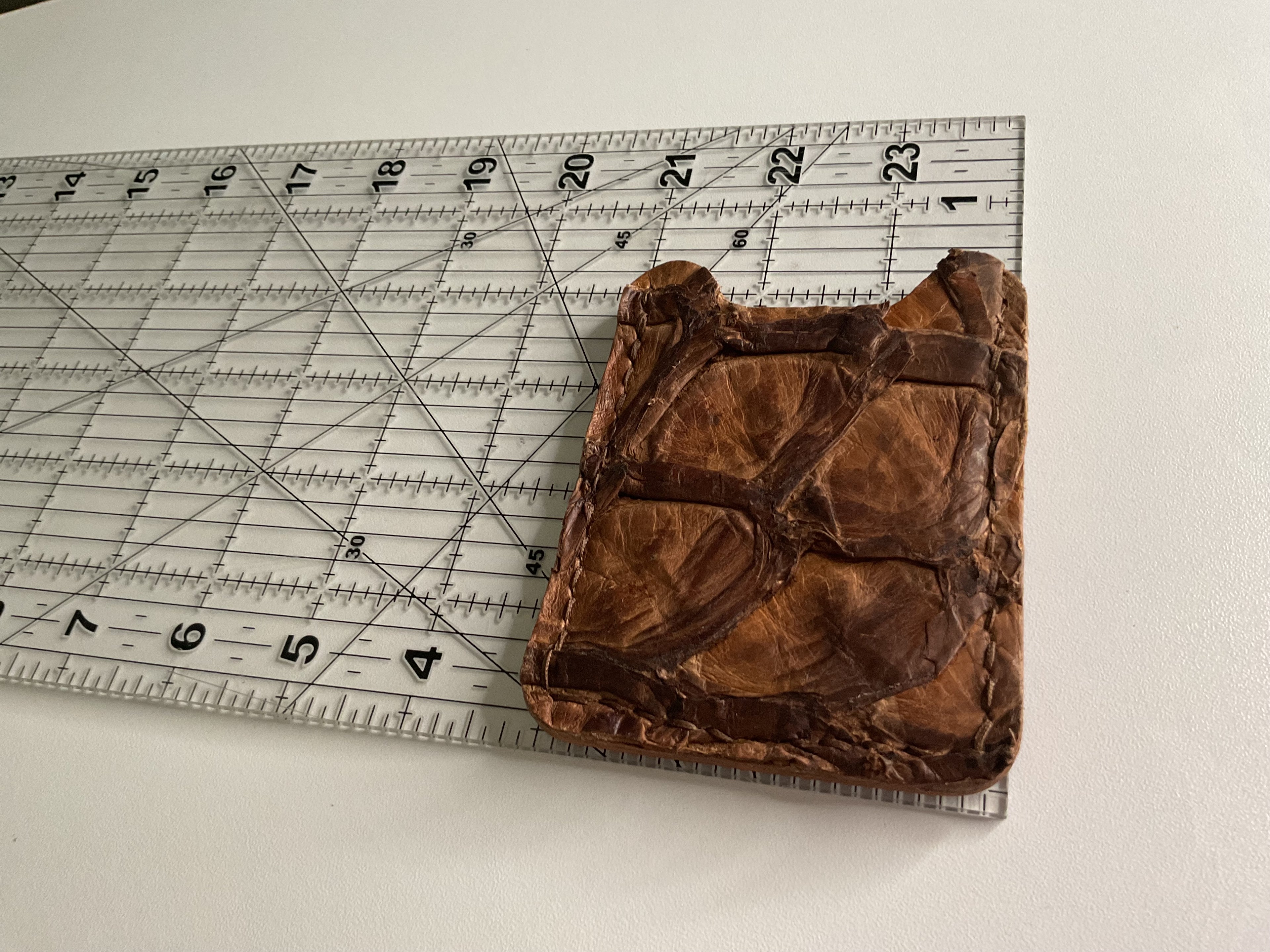 Texas Pirarucu Fish Leather Vertical Card Case– Hand-Stitched Brown