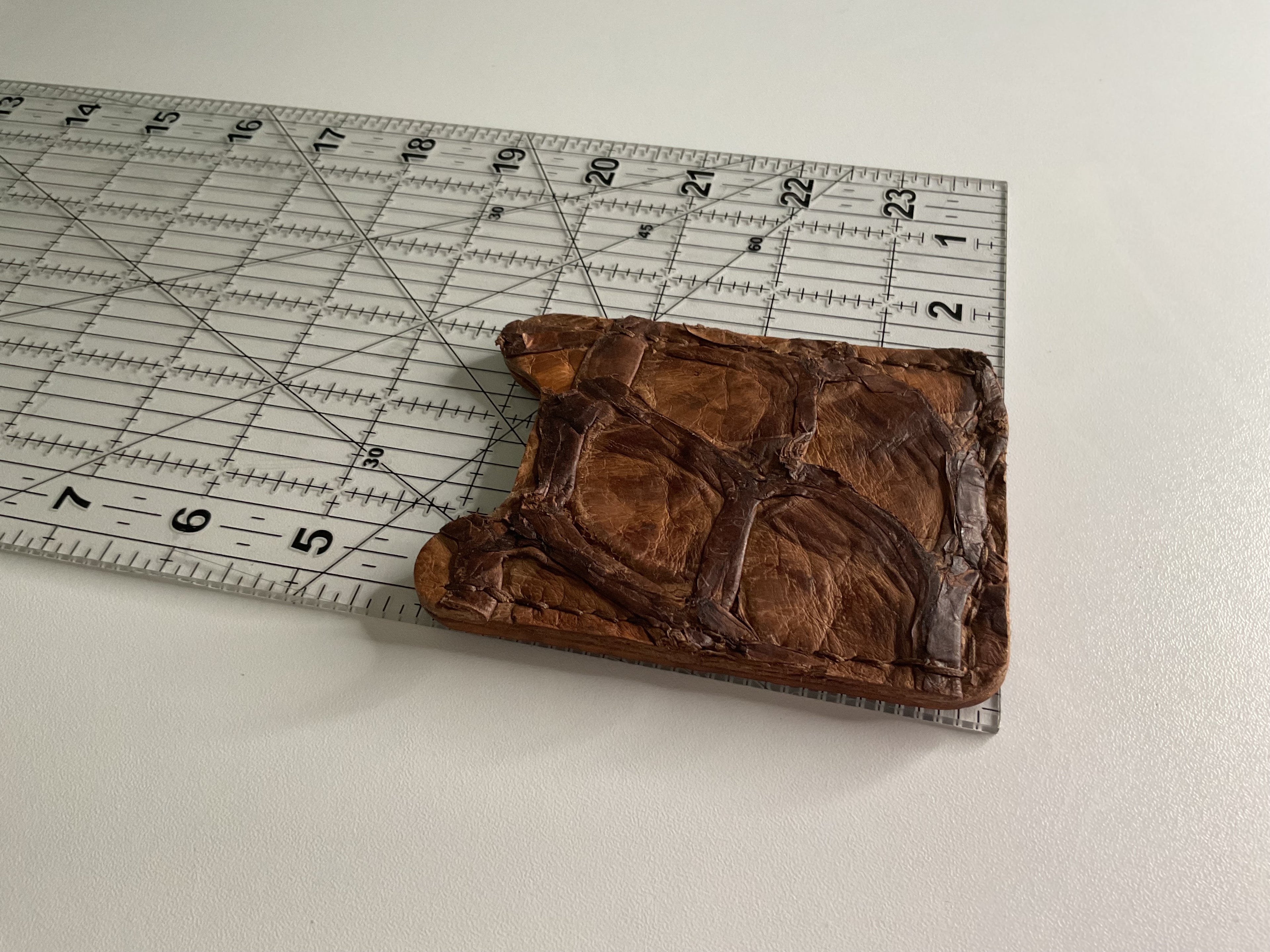 Texas Pirarucu Fish Leather Vertical Card Case– Hand-Stitched Brown