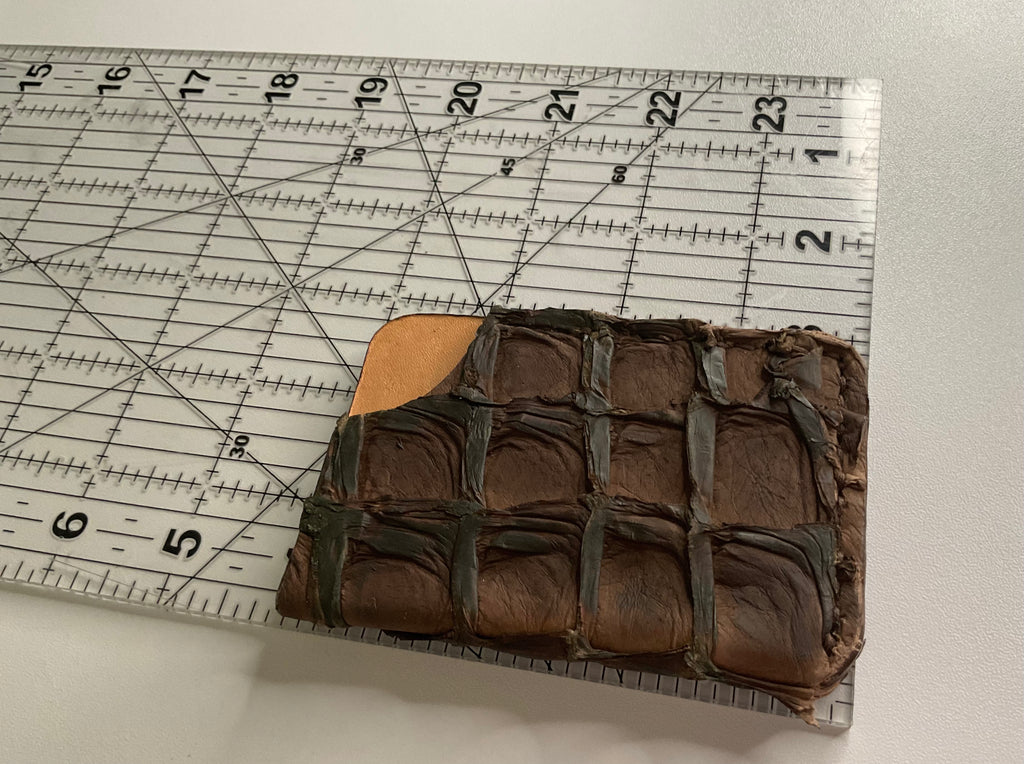 Pirarucu Fish Leather Card Case