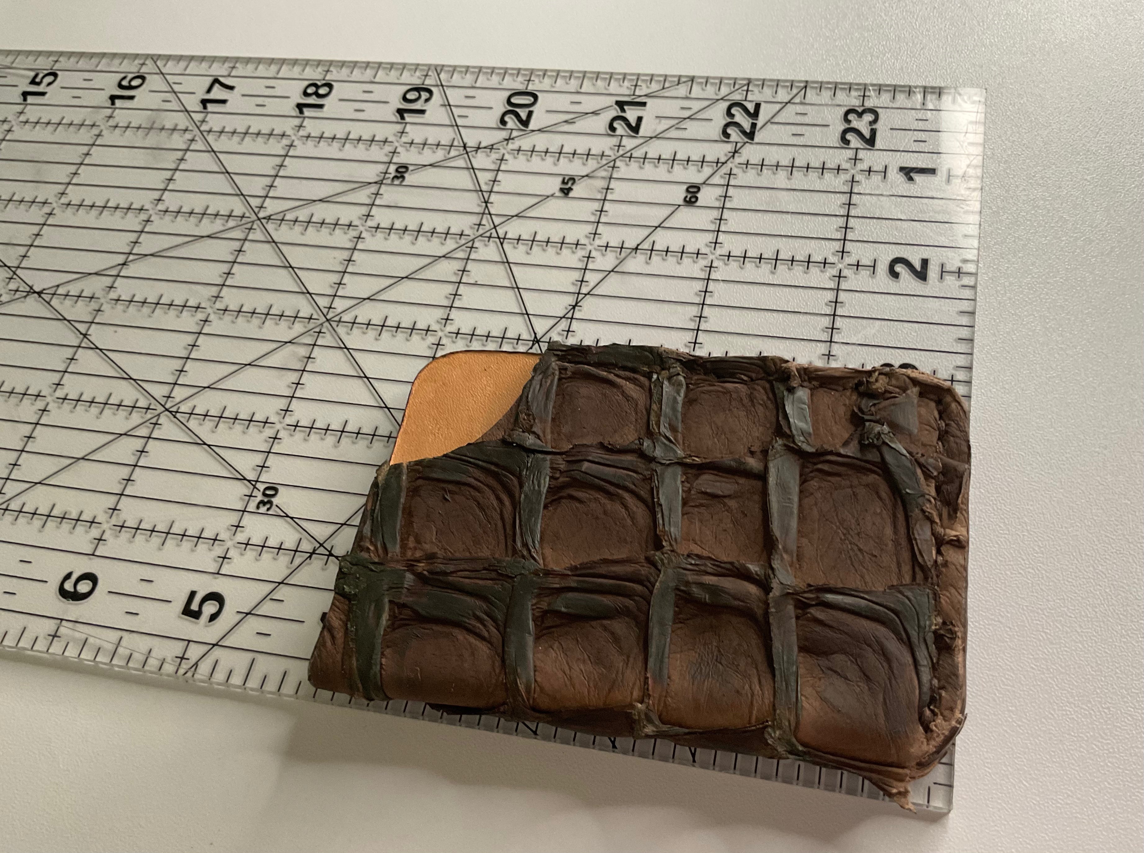 Pirarucu Fish Leather Card Case