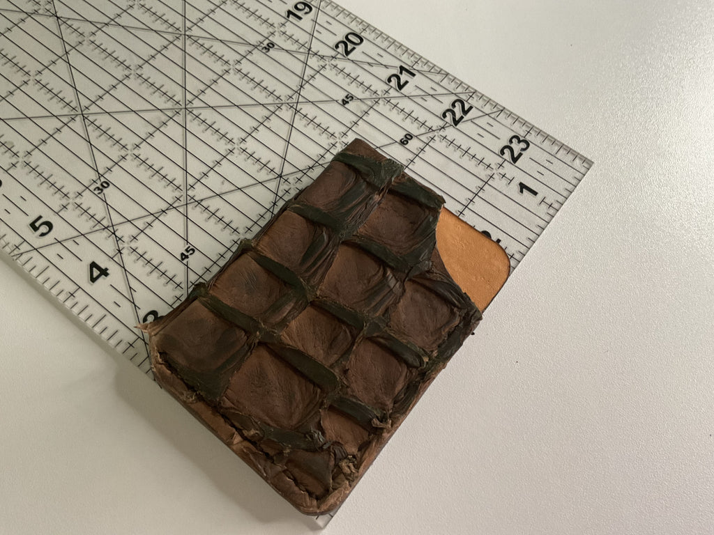 Pirarucu Fish Leather Card Case